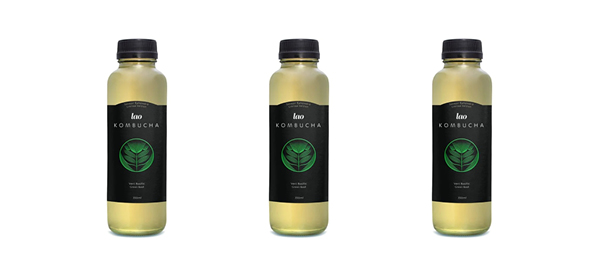 Lao – Kombucha vert basilic 